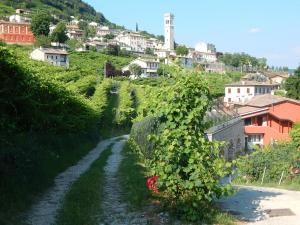 Azienda Agricola Vigneto Vecio