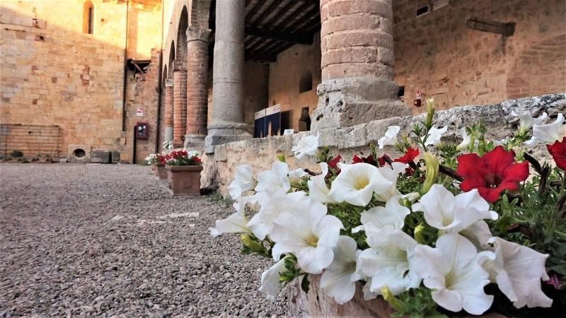 Contessa Ava Dei Lambardi