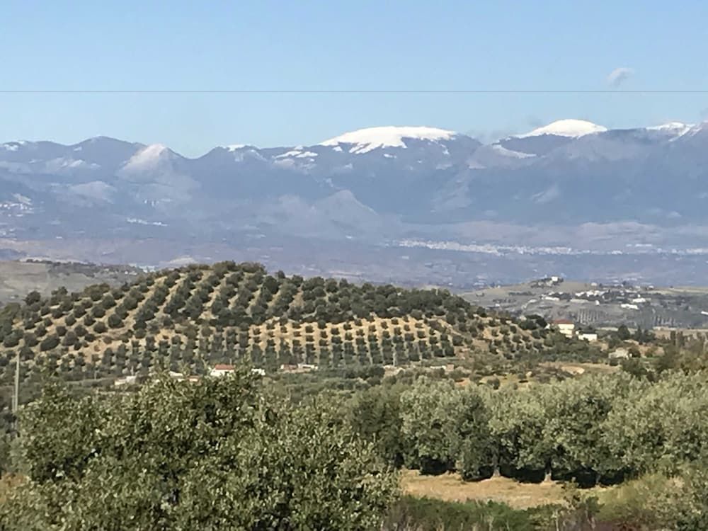 Agrituristica Torre Cocciani