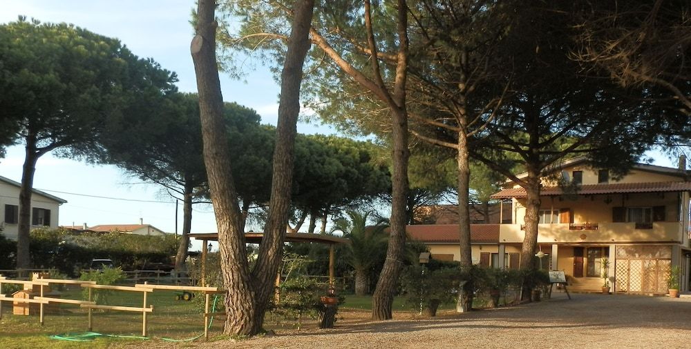 Il Picchio Verde