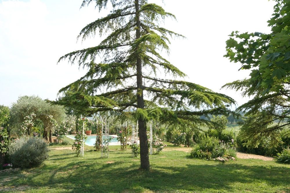 Casa Cipressi