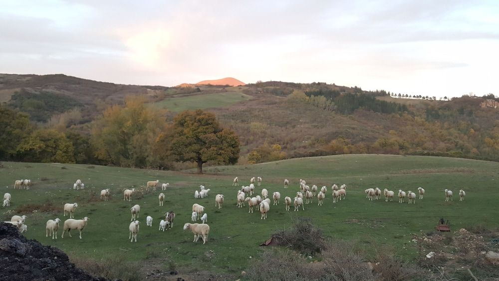 Agriturismo I Rondinelli