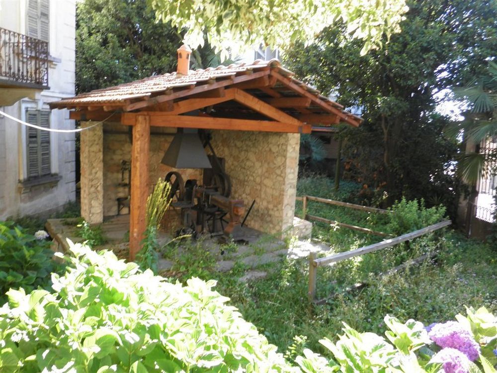 Elvezia