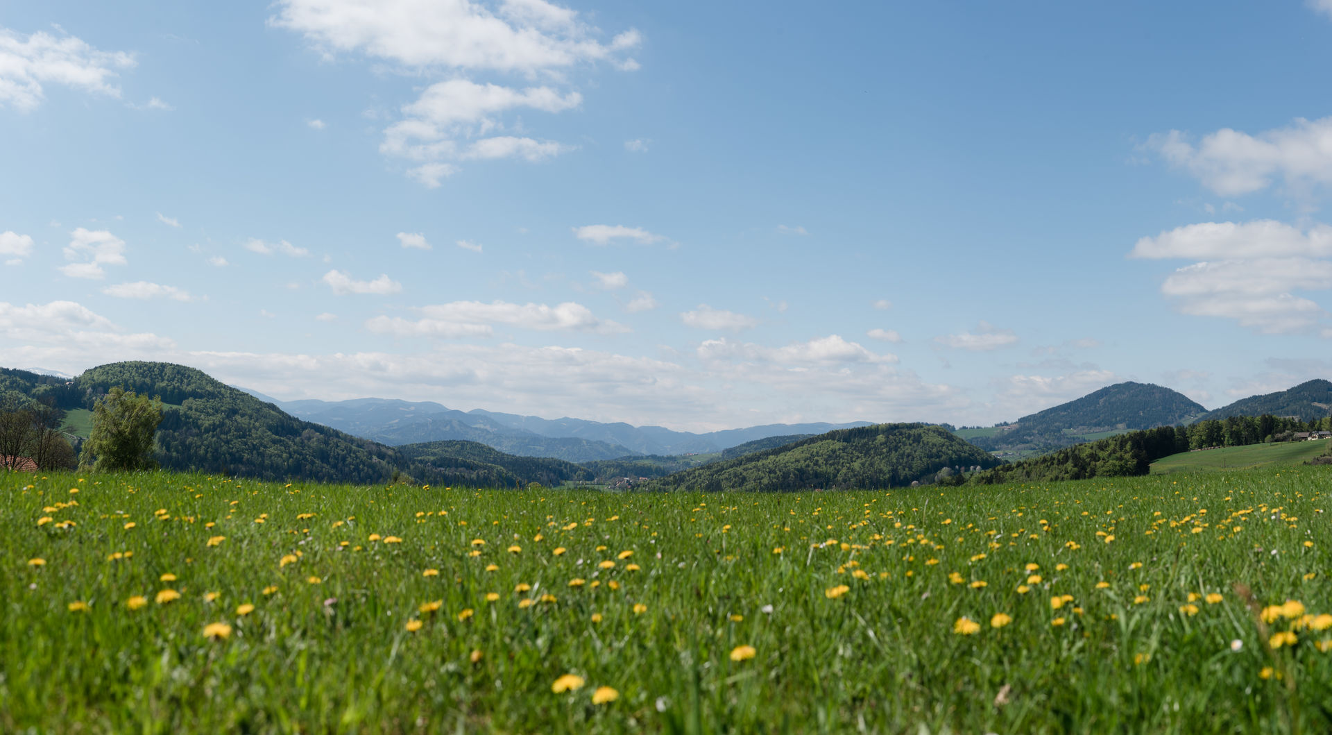 Pension Schöcklblick