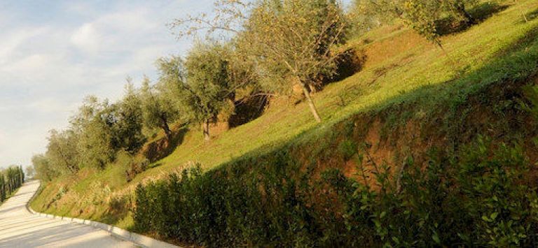Il Borghetto Andrea Tafi