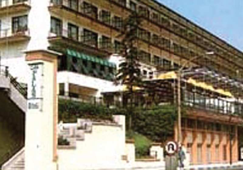 Celik Palace