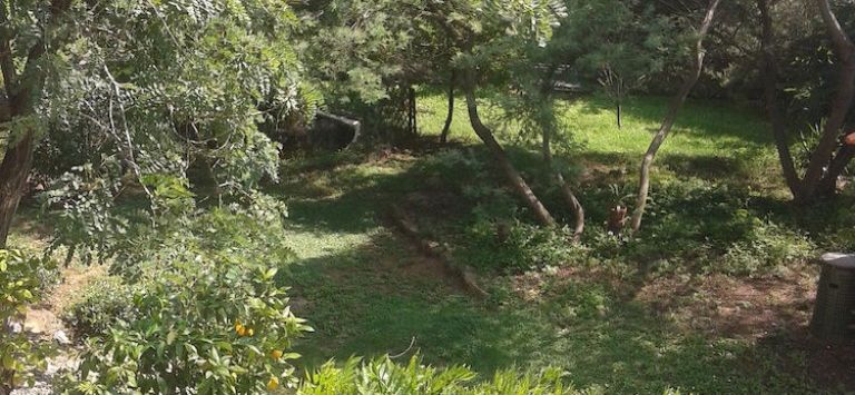 Le Mimose B&B