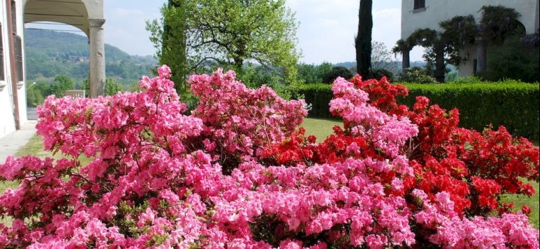 B&B Villa Natta