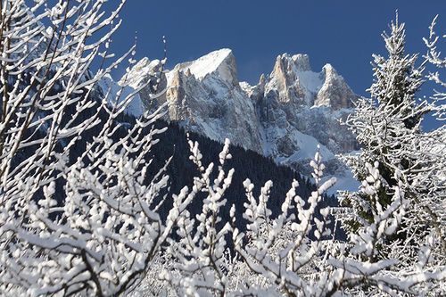 Hotel Stella Alpina