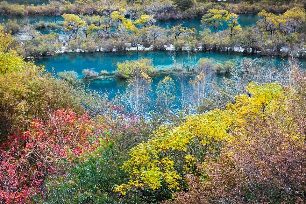 Conrad Jiuzhaigou