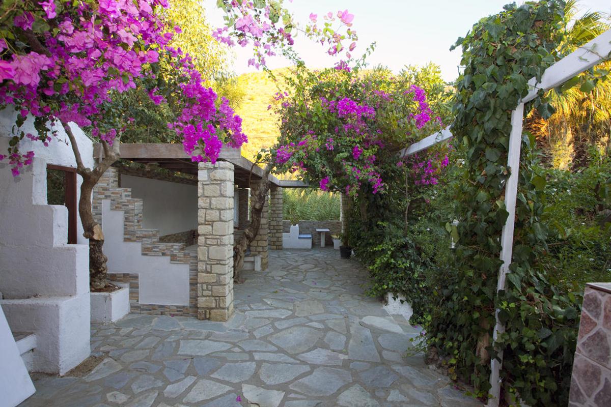 Damnoni Paradise