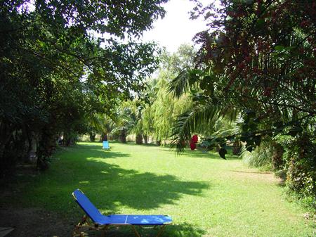 Damnoni Paradise