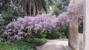 Il Mondo Di Giada