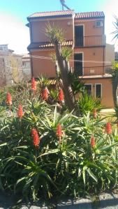 Re Sole