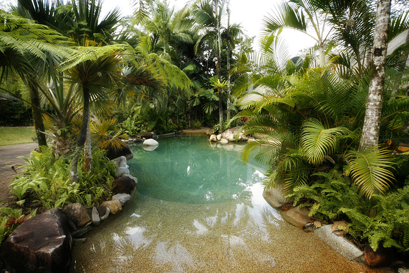 Ferntree Rainforest Lodge