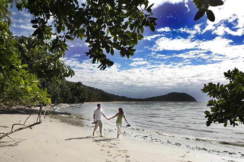 Ferntree Rainforest Lodge