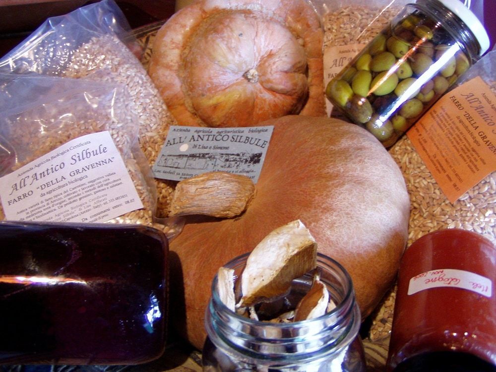 Antico Silbule