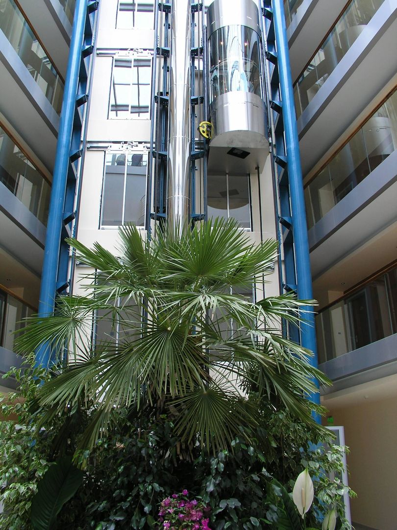 Hotel Marina Palace Affiliated by Meliá
