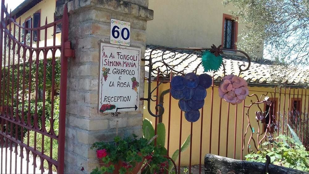 Il Grappolo e la Rosa