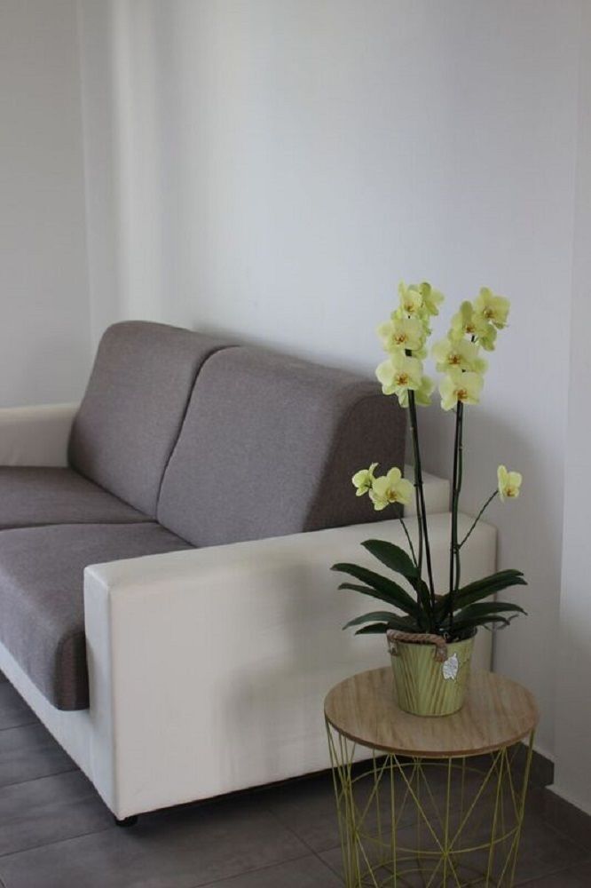Residence Lungomare