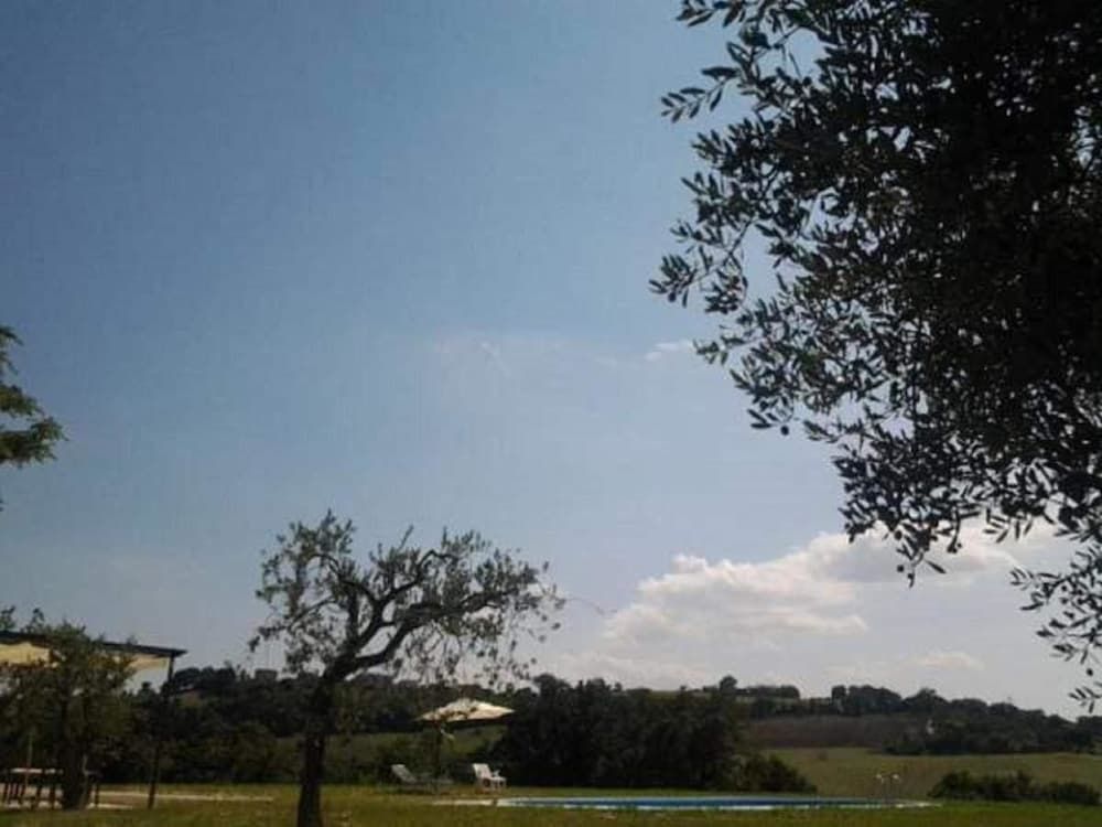 Paglia E Fieno