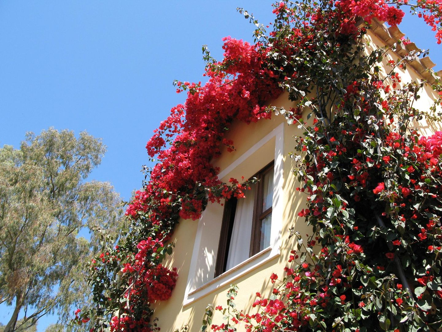 Residence Borgo degli Ulivi