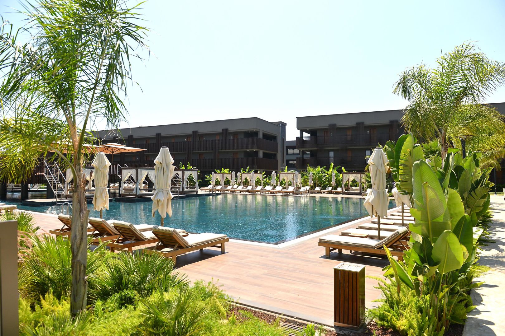 Jacaranda Luxury