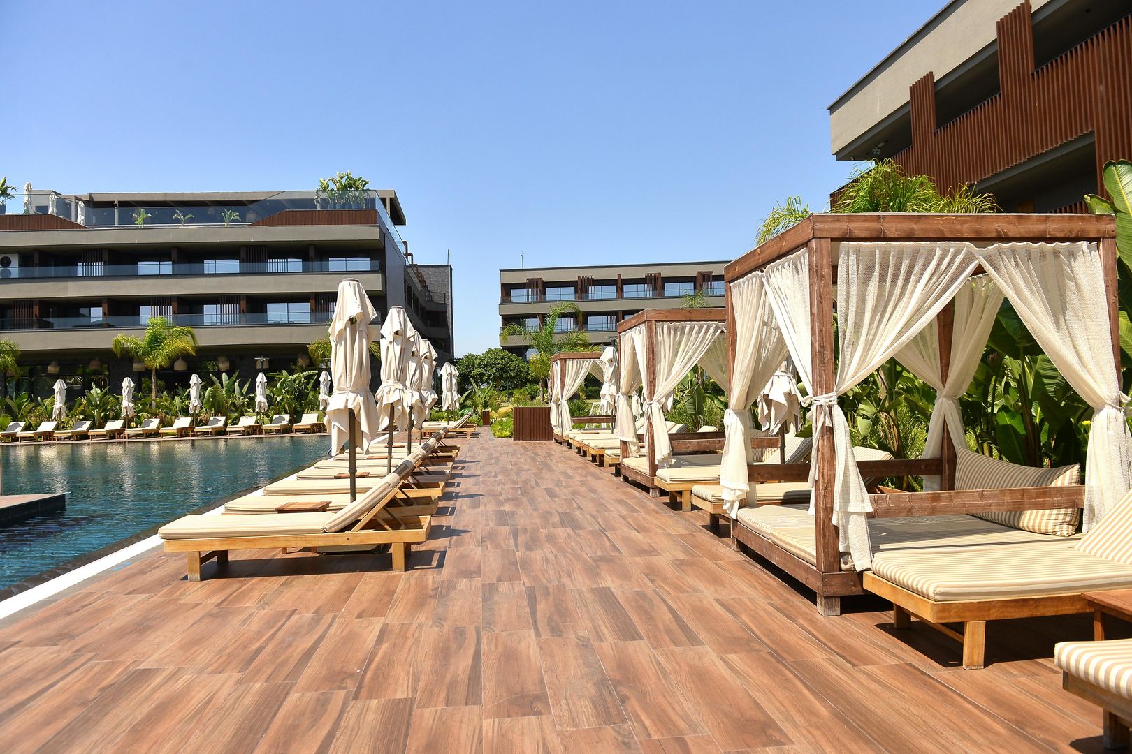 Jacaranda Luxury
