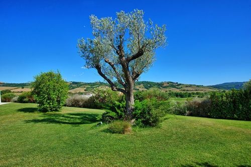 Saturnia 9
