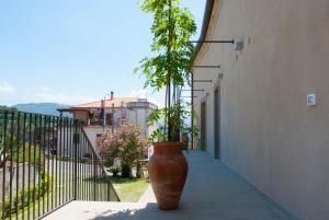 Alimunera Hotel