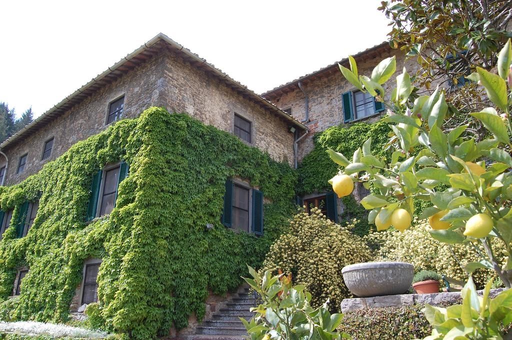Badia a Coltibuono