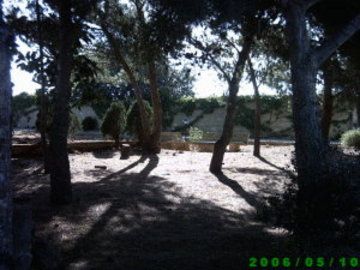 A Giummara