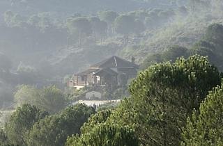Mundatluz
