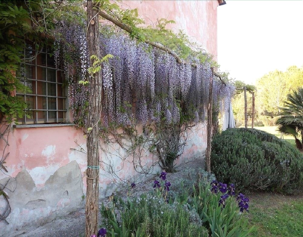 B&B Le Tagliate
