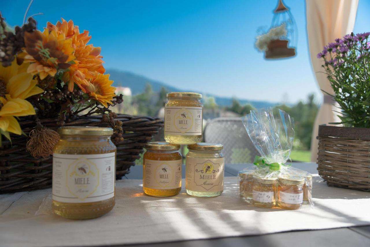B&B La Provenzale
