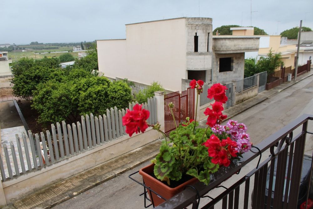 Il Sole Di Puglia B&B
