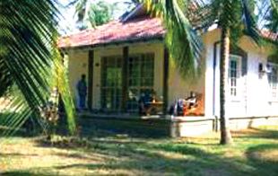 Tamarind Tree Garden Resort