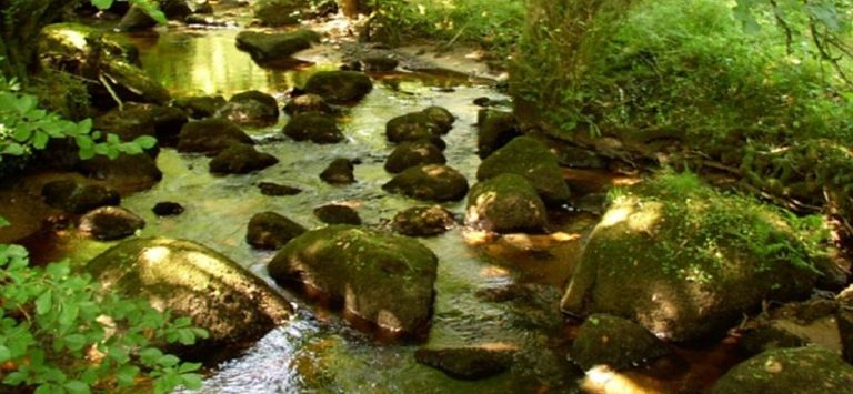 Gidleigh Park