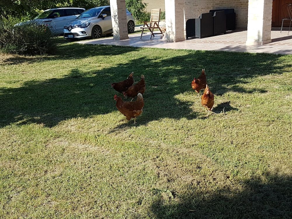 Agriturismo La Cicala
