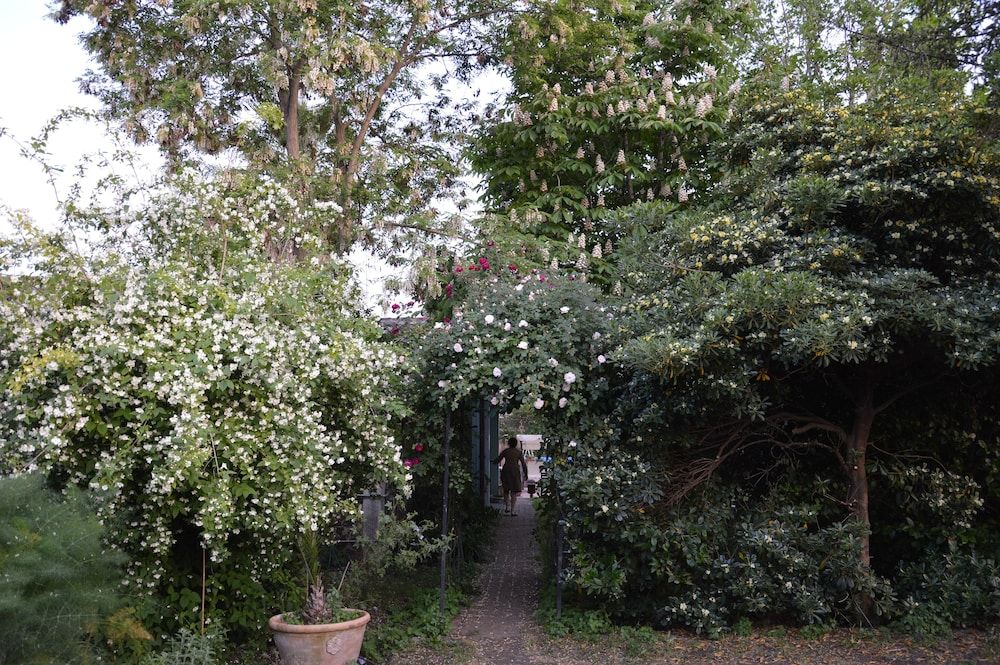 La Casa Di Francesca