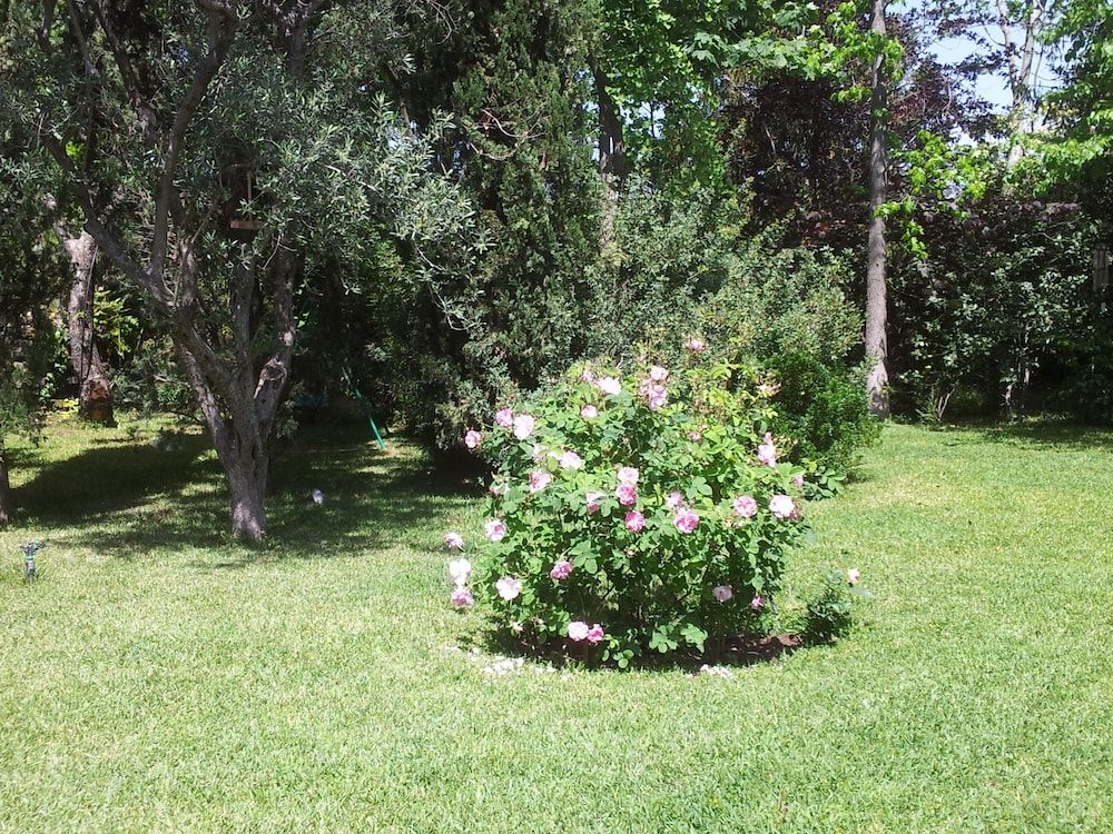 La Casa Di Francesca