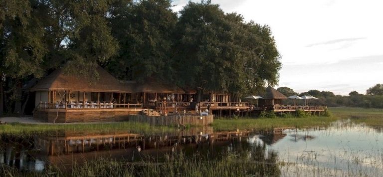 Sanctuary Chief's Camp