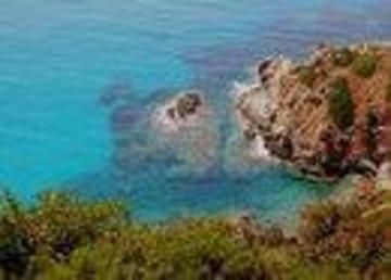 Fiore di Maggio