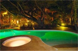Bosque del mar