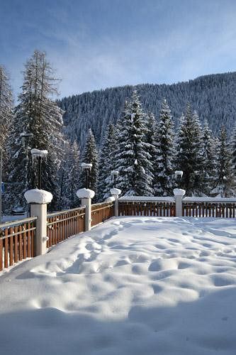 Hotel Pineta