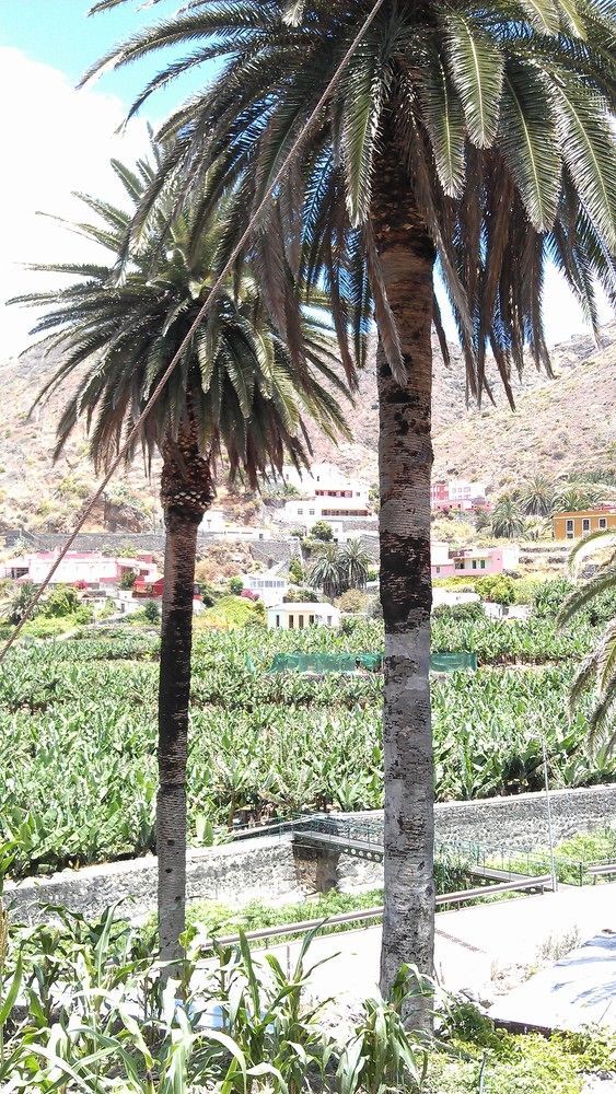 Casa Rural Llano Campo