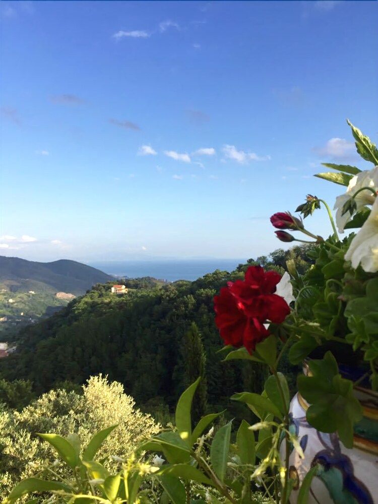 La Riggiola