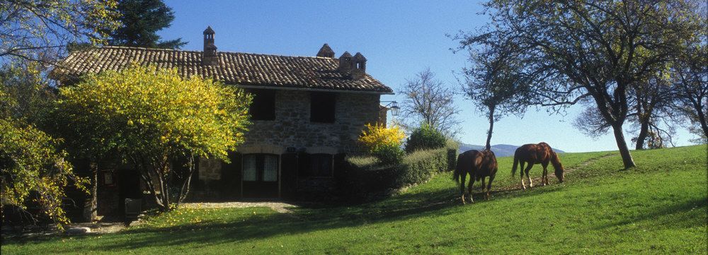 Le Silve Di Armenzano – Assisi