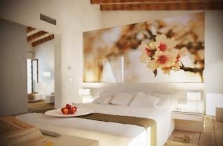 Sa Franquesa Nova Hotel Rural