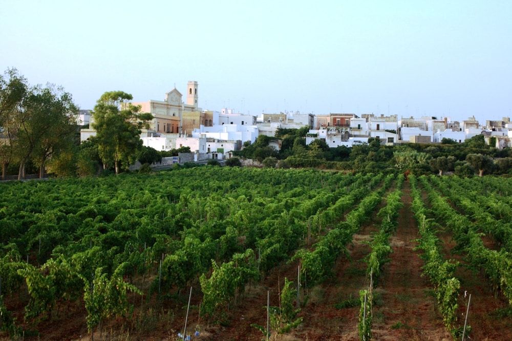 Costa d'Oro